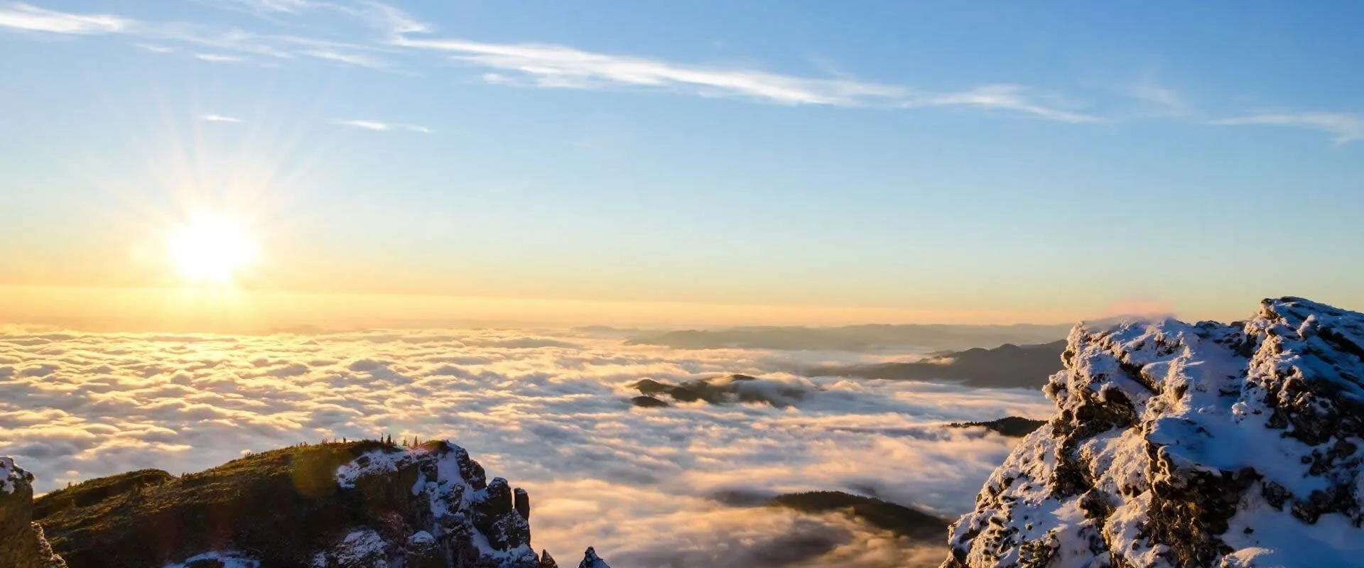 우리는 최고 수준의 상품 제공, 적시 배송 및 따뜻한 지원을 강조합니다.
